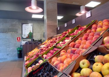 Iluminación Led frutería Legazpi