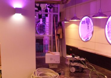 Iluminación Led – Pecaditos Donosti